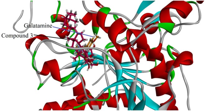 FIGURE 4