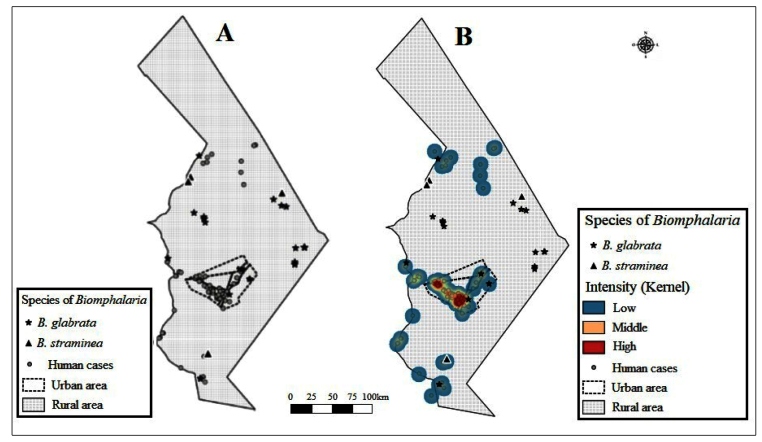 FIGURE 1: