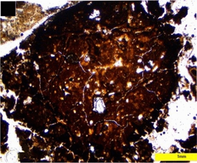 Figure 11