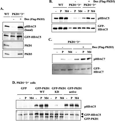 FIG. 5.