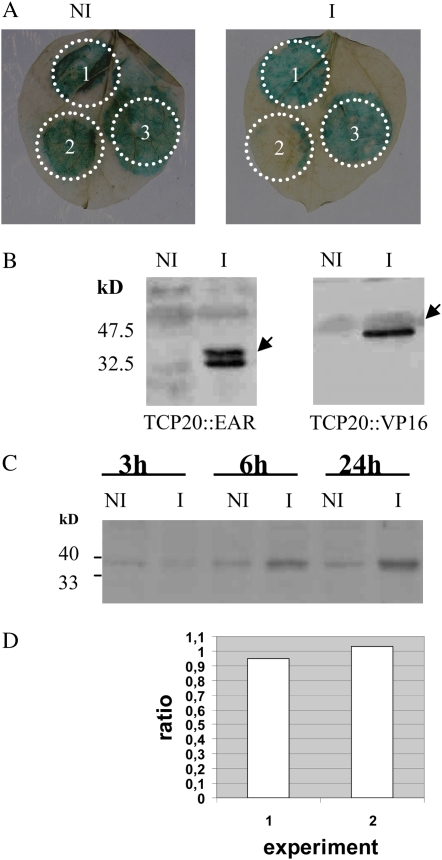 Figure 6.