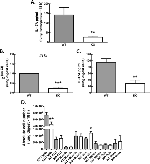 Neutrophils Produce Interleukin 17A (IL-17A) in a Dectin-1- and IL-23 ...