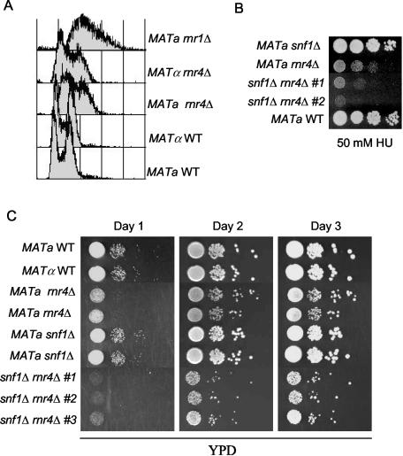 FIG. 8.