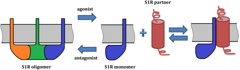 FIGURE 3