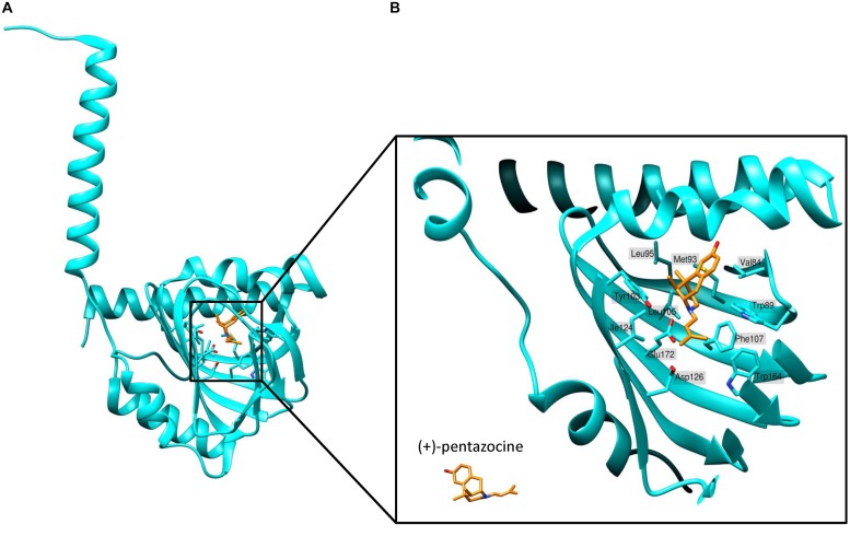 FIGURE 2