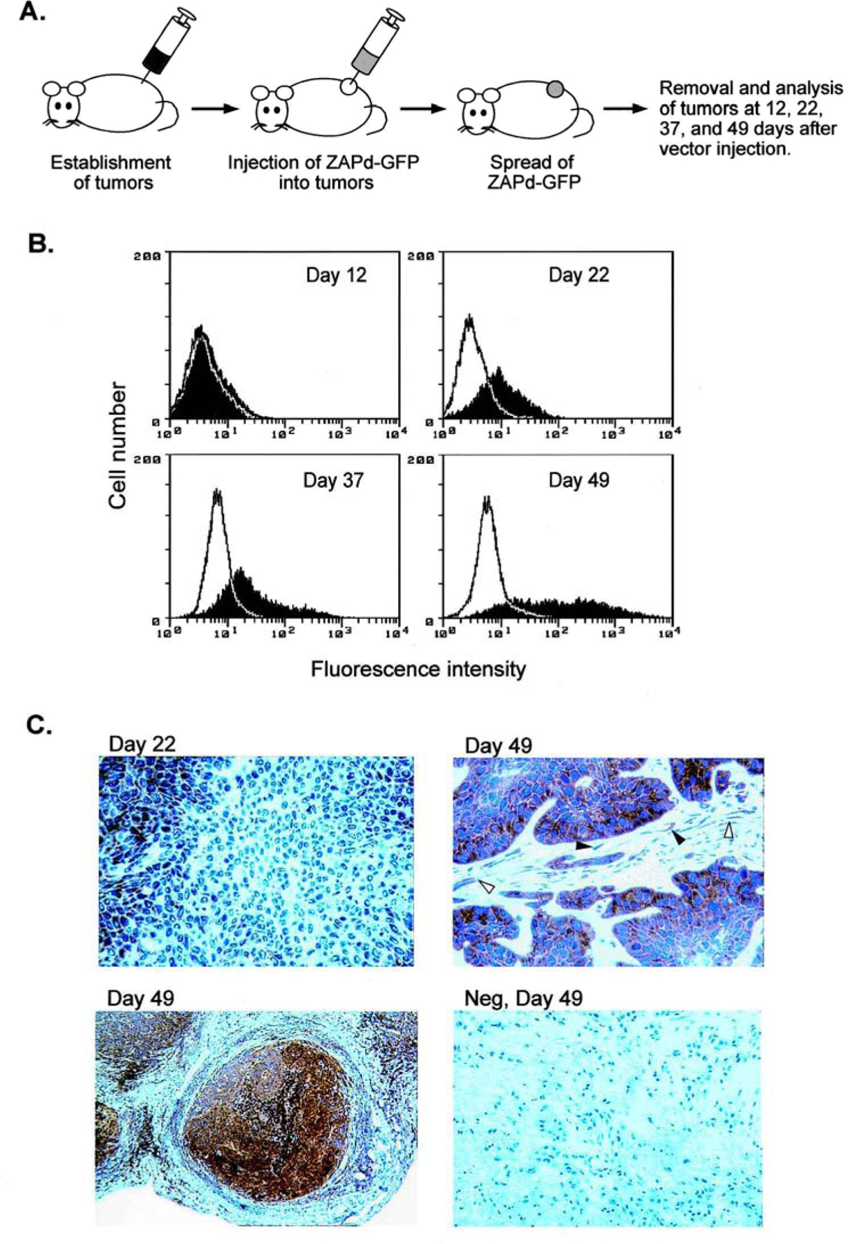 FIG. 4.