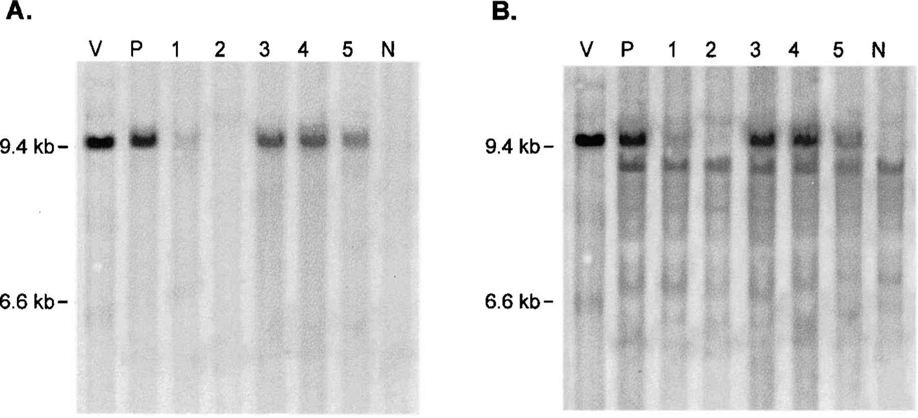 FIG. 5.