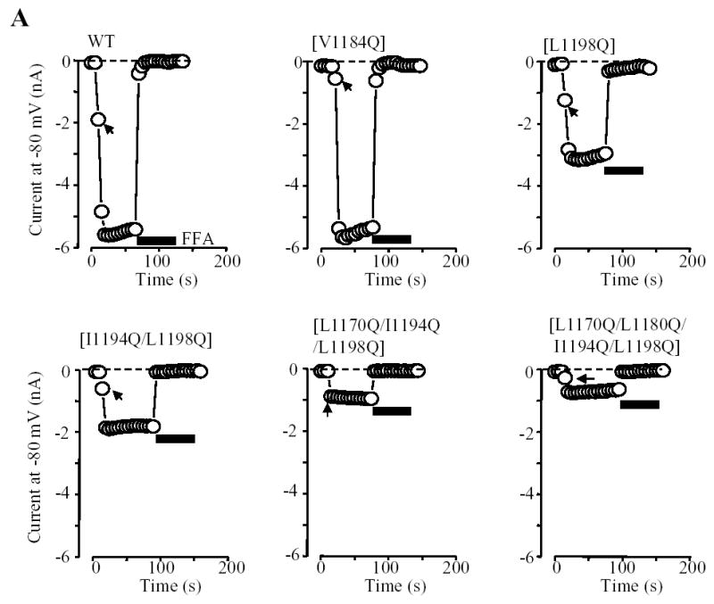 Fig. 5