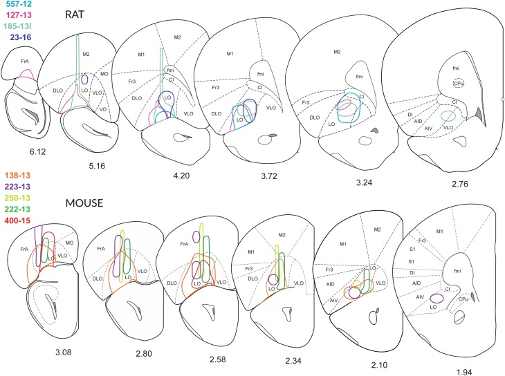 Fig. 2