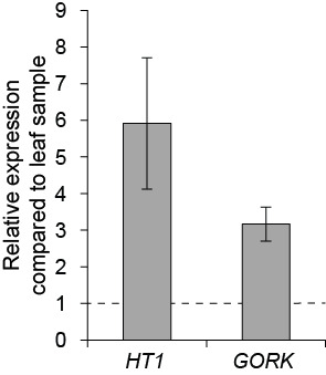 Figure 5.