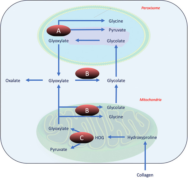 Figure 3.