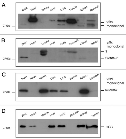 Figure 14