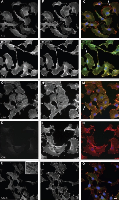 Figure 19