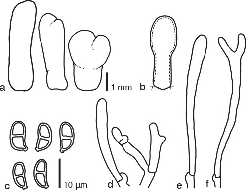 Fig. 8