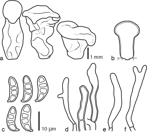 Fig. 4