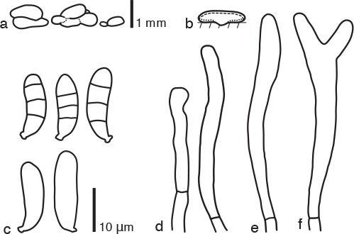 Fig. 7