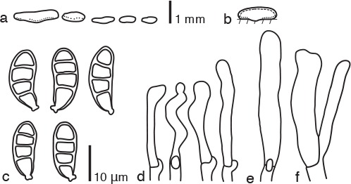 Fig. 5