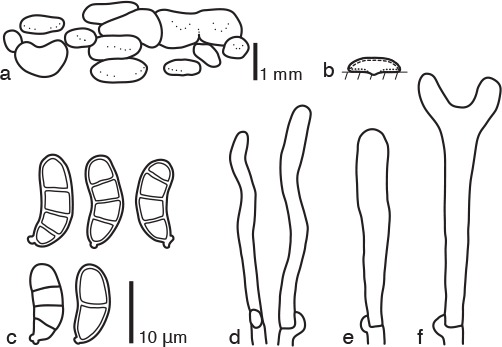 Fig. 10