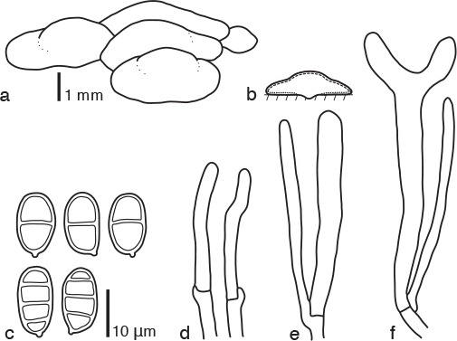 Fig. 9