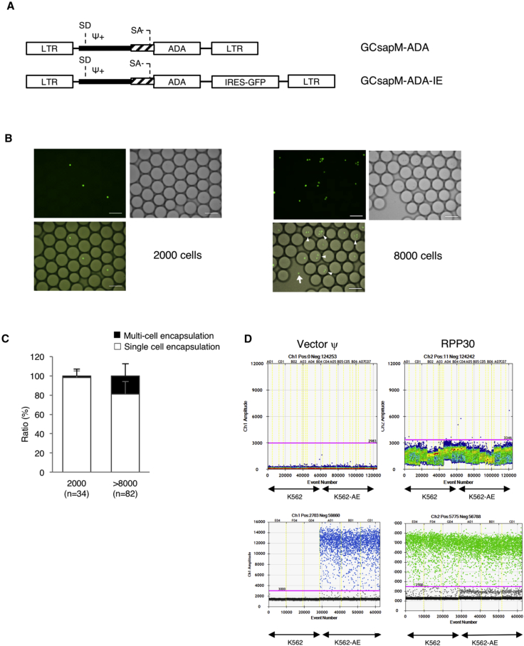 Figure 2