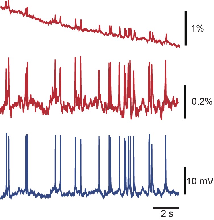 Figure 1—figure supplement 3.