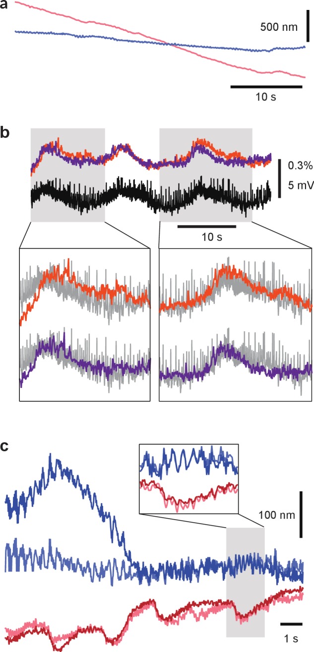 Figure 1—figure supplement 2.