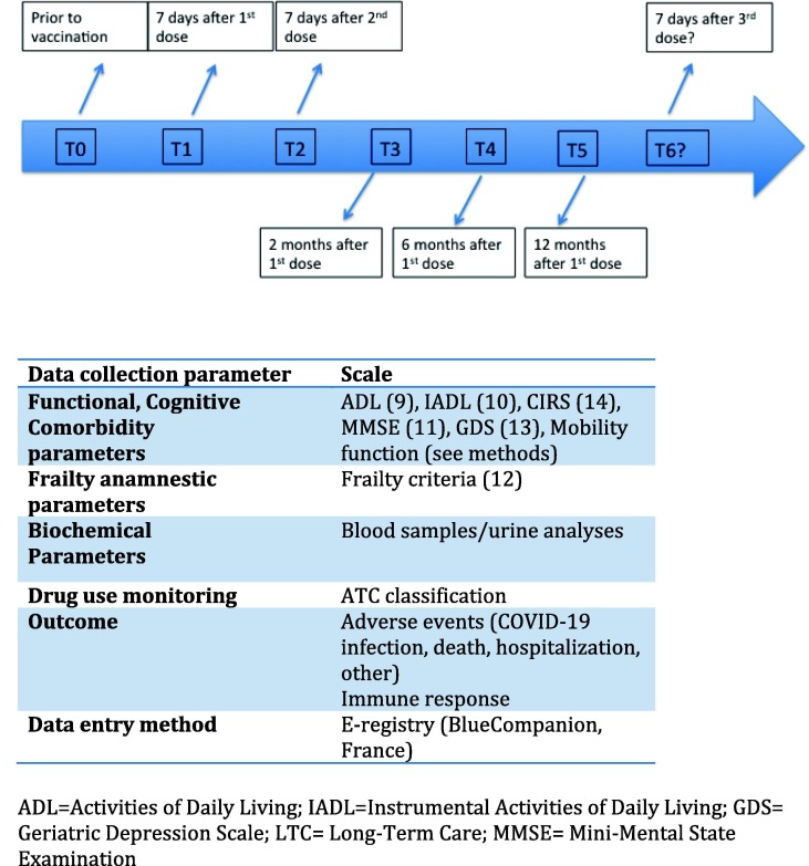 Fig. 2a