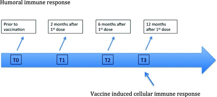 Fig. 2b