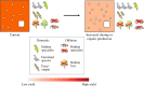 The likely effects of a typical European country increasing land sharing or organic production