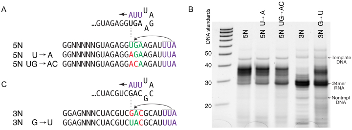 Figure 6.