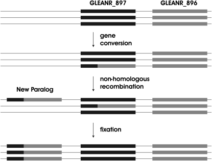 Figure 5.—