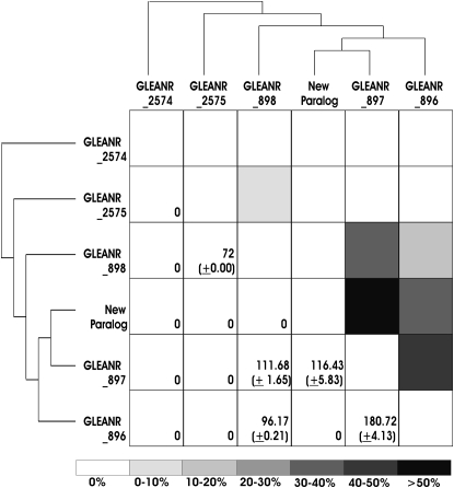 Figure 3.—