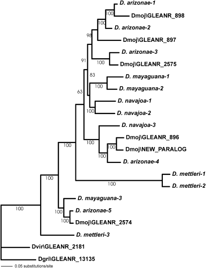 Figure 6.—