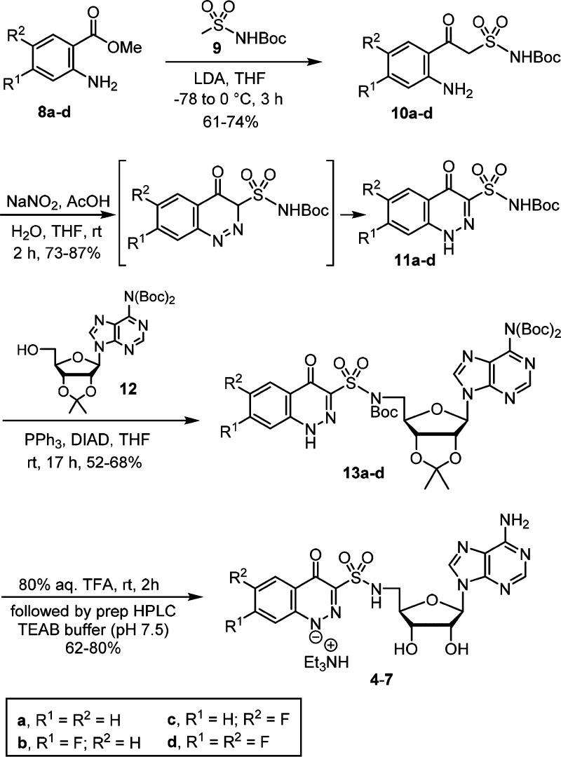 Scheme 1