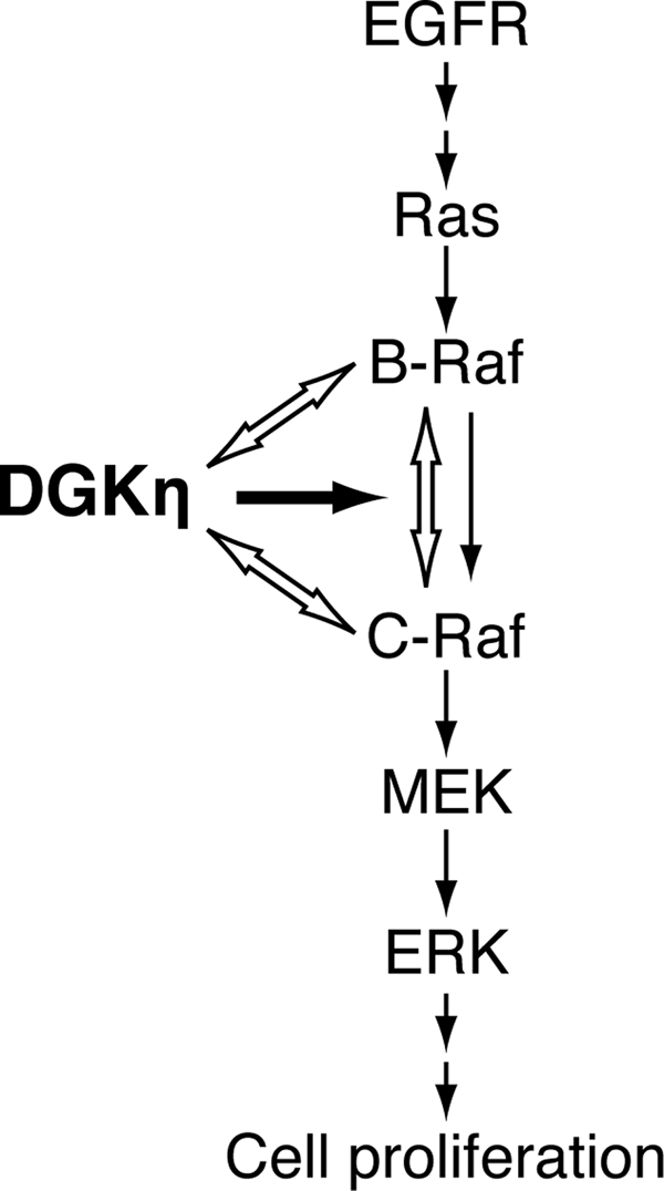 FIGURE 9.