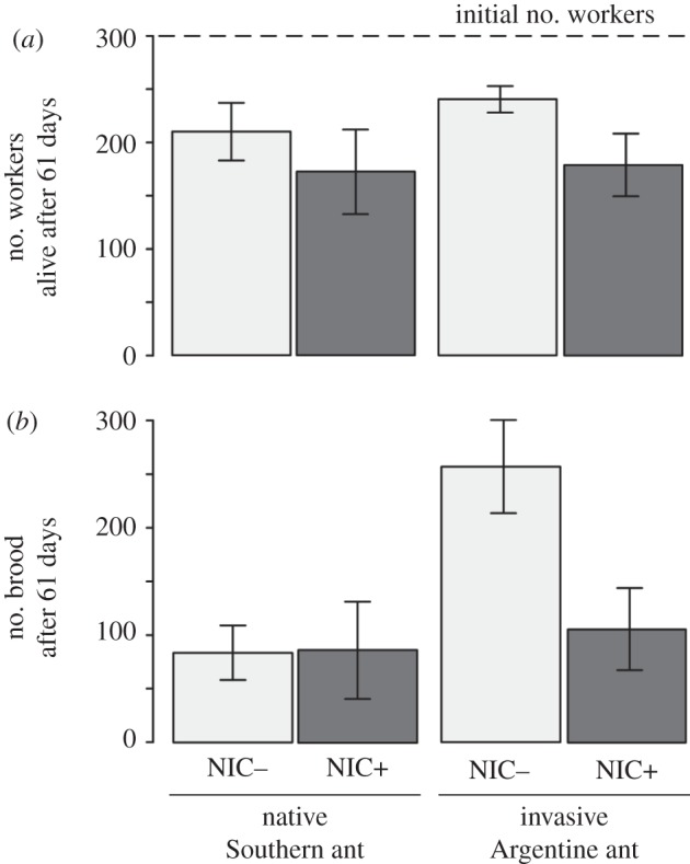 Figure 2.