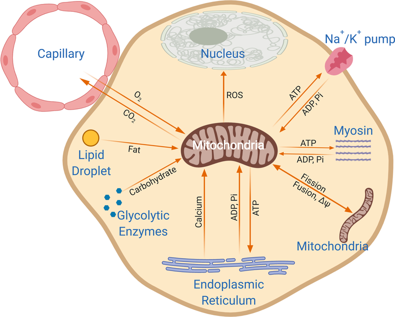 Figure 1: