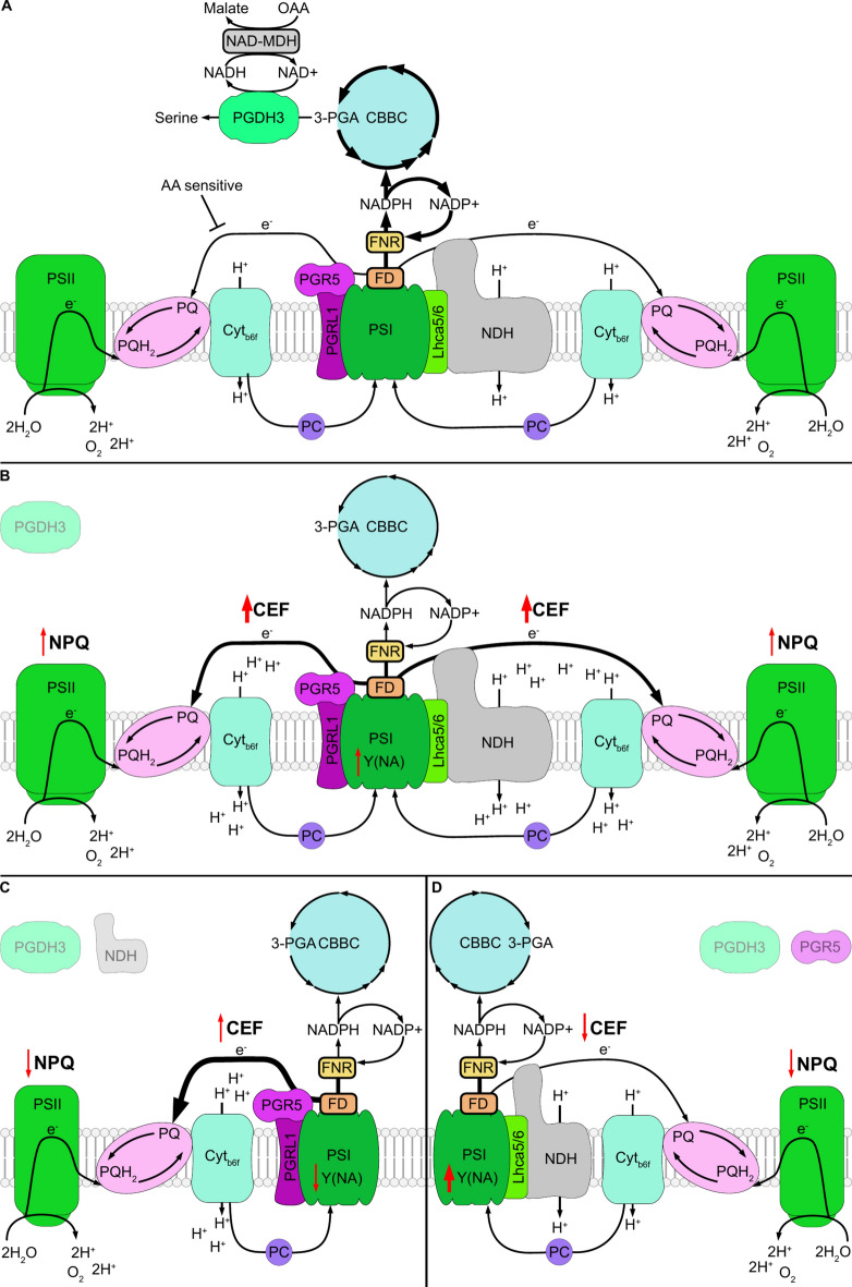 Fig. 6