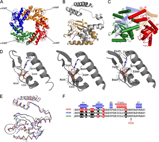 FIGURE 2.