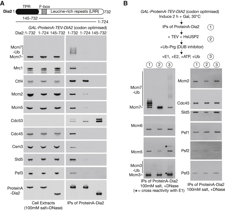 Figure 3