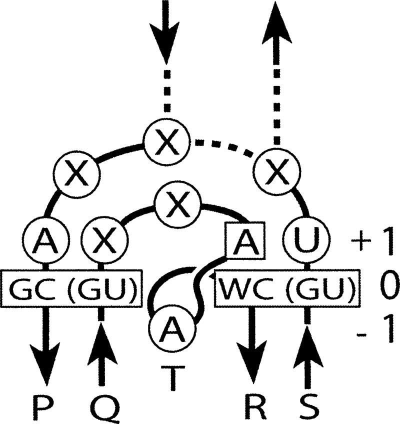 FIGURE 4.