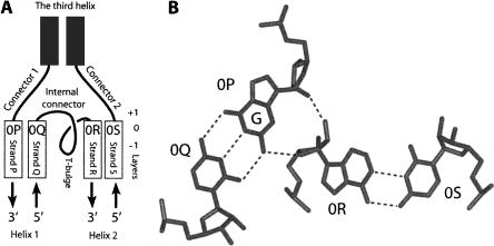 FIGURE 1.