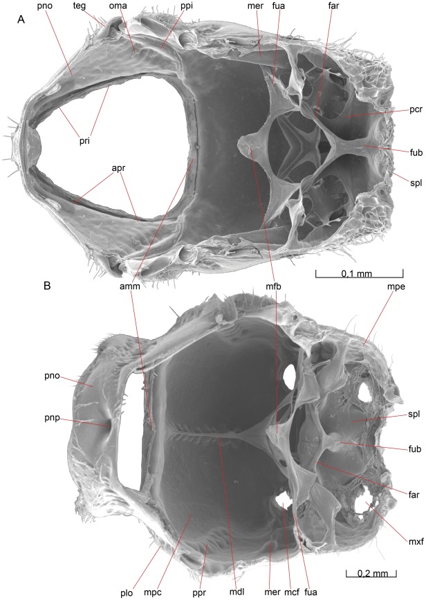 Figure 8