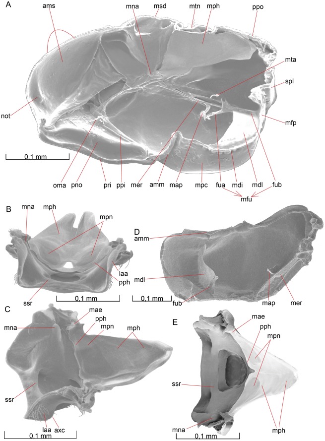 Figure 9