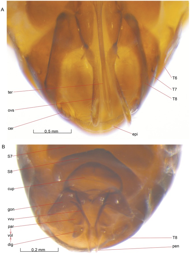 Figure 16