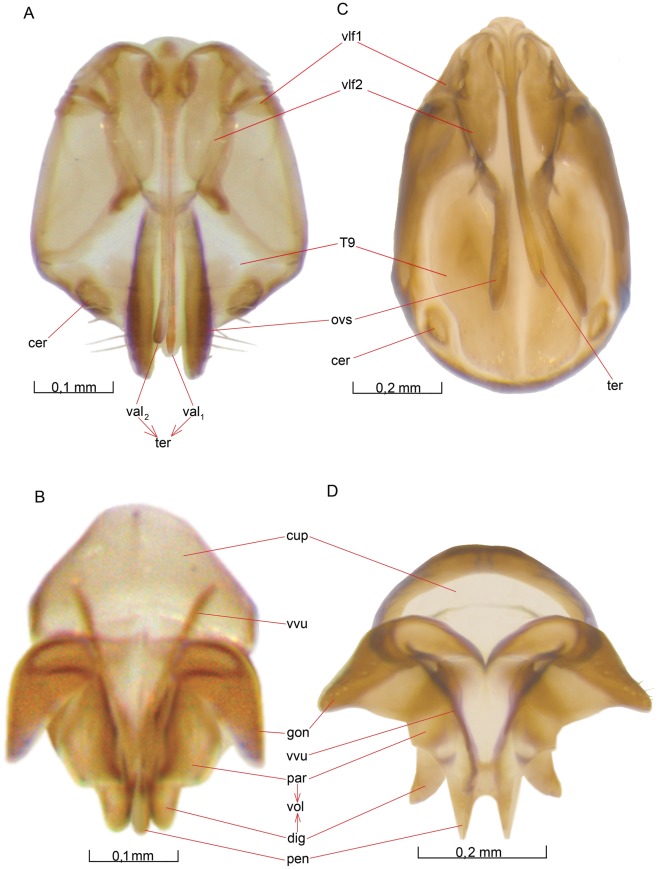 Figure 17