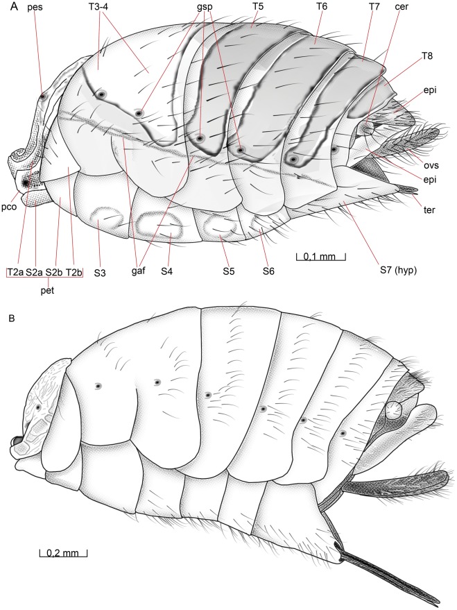 Figure 14