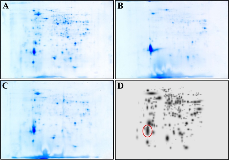 FIGURE 2