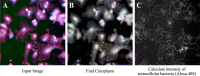 Fig 4