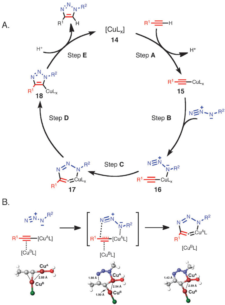 Scheme 7